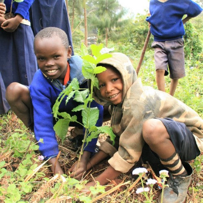 Christmas Stardust, Christmas Gift, We Plant 10 More Trees